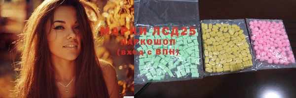 гашик Новозыбков
