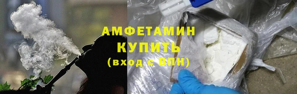 гашик Новозыбков