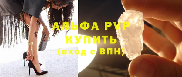 гашик Новозыбков