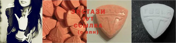 гашик Новозыбков