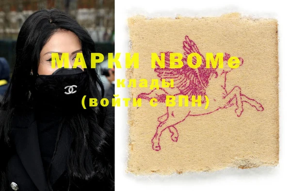 гашик Новозыбков
