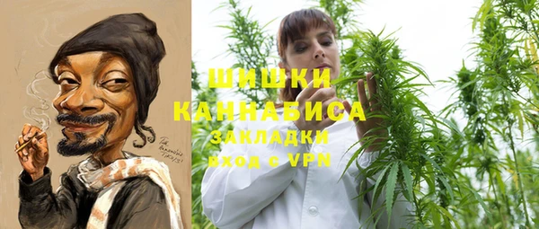 гашик Новозыбков