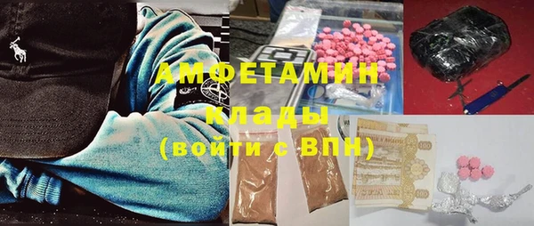гашик Новозыбков