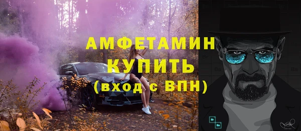 гашик Новозыбков