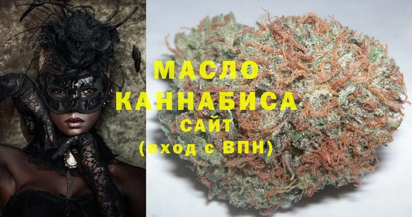 гашик Новозыбков