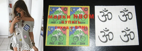 гашик Новозыбков