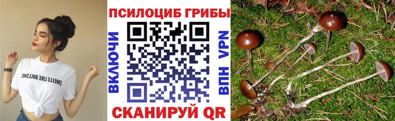 купить  цена  МЕГА   Галлюциногенные грибы Magic Shrooms  Тарко-Сале 